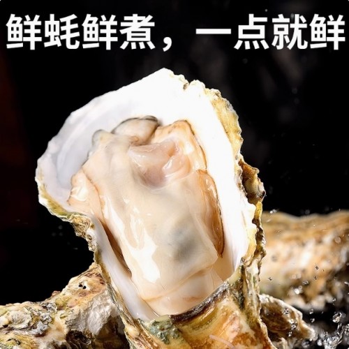千禾御藏蚝油510g/瓶 商用家用小瓶鲜味蚝汁火锅调料调味品图3